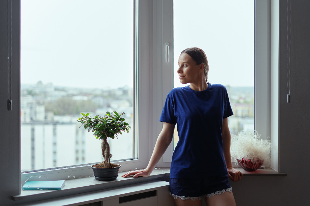 Boston Bay & Bow Windows